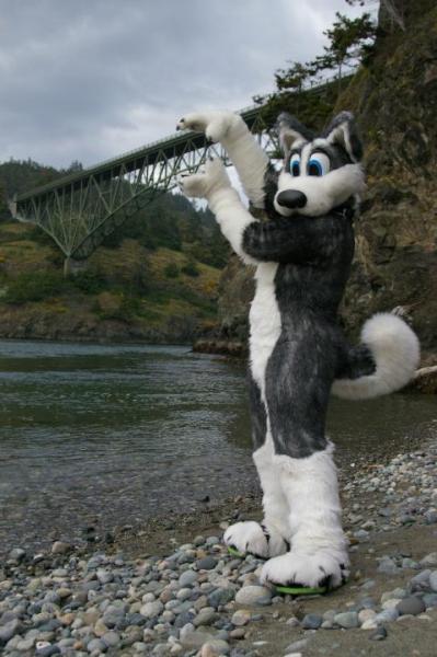 Beef Jerky.jpg Beef Jerky.jpg