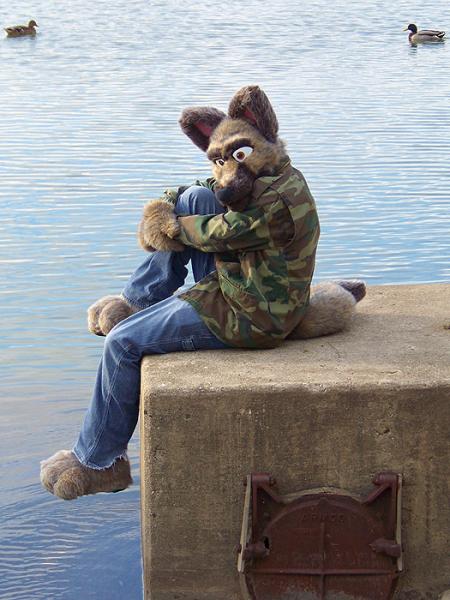 Bit Shepherd.jpg Bit Shepherd.jpg