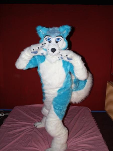 Cyan Fur Moana.jpg Cyan Fur Moana.jpg