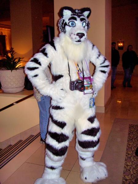 Feles Aerius.jpg Feles Aerius.jpg