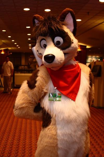 Frisbee.jpg Frisbee.jpg