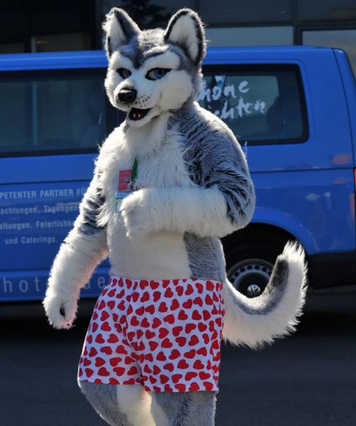 Huskers.jpg Huskers.jpg