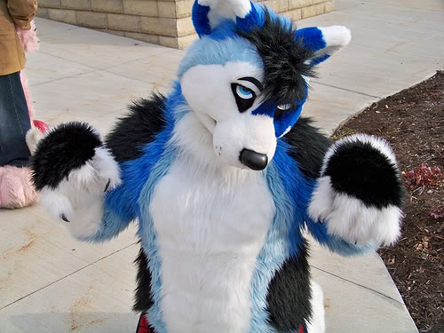 Leo (Bluewolf).jpg Leo (Bluewolf).jpg