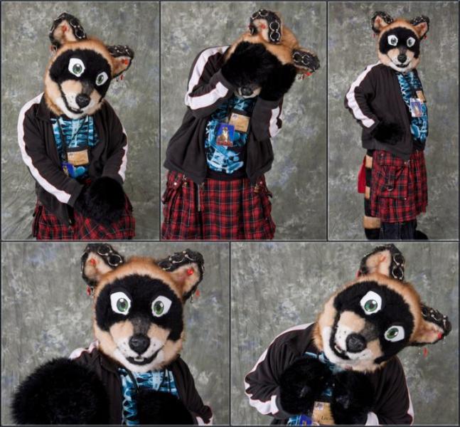 Locadocoon.jpg Locadocoon.jpg