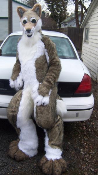 Lupercus.jpg Lupercus.jpg