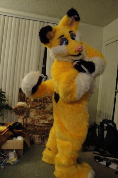 Maybe Mayham.jpg Maybe Mayham.jpg