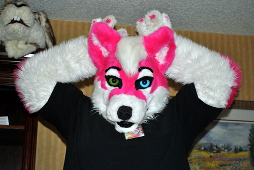 Moxie Husky.jpg Moxie Husky.jpg