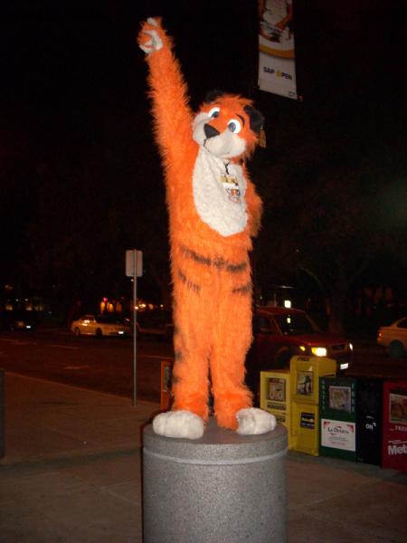 Nekomon.jpg Nekomon.jpg