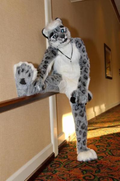 Nikoli.jpg Nikoli.jpg