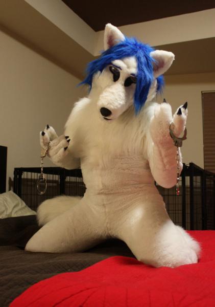 Noble Wolf.jpg Noble Wolf.jpg