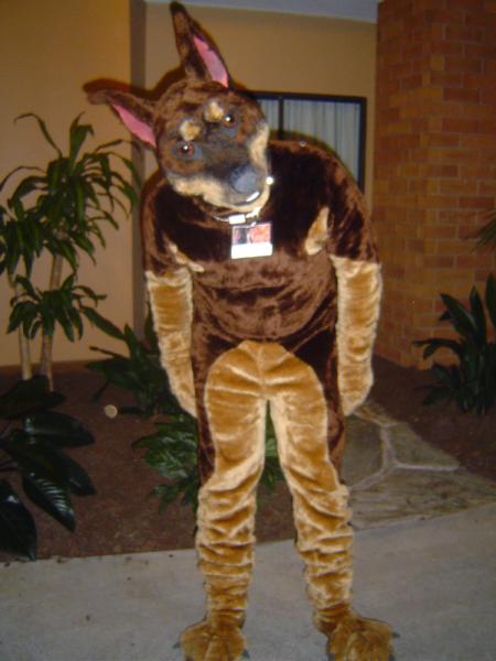 Robodobie.jpg Robodobie.jpg