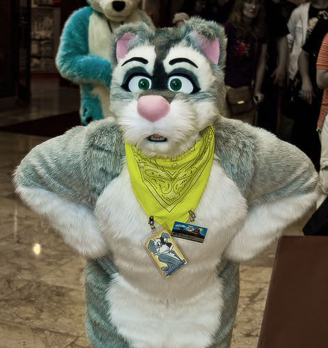 Sadie Lee Schnauzer.jpg