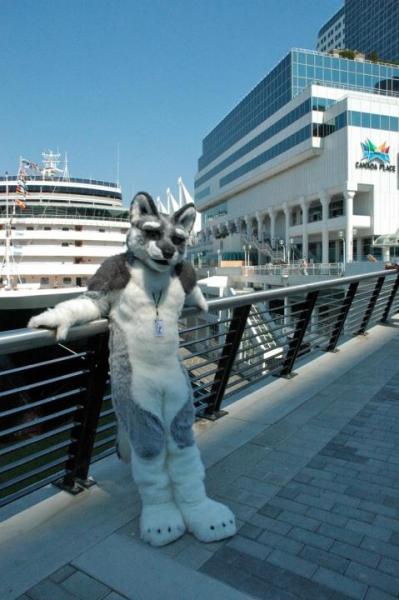 Sairys.jpg Sairys.jpg