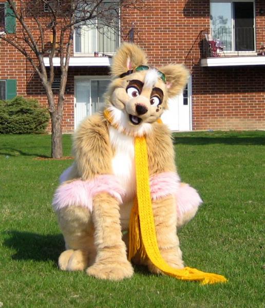 Tricky Pomeranian.jpg Tricky Pomeranian.jpg