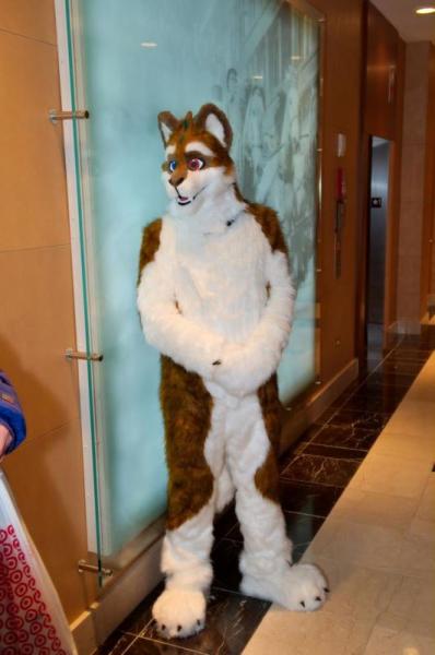 Virgil the HuskyDragon.jpg