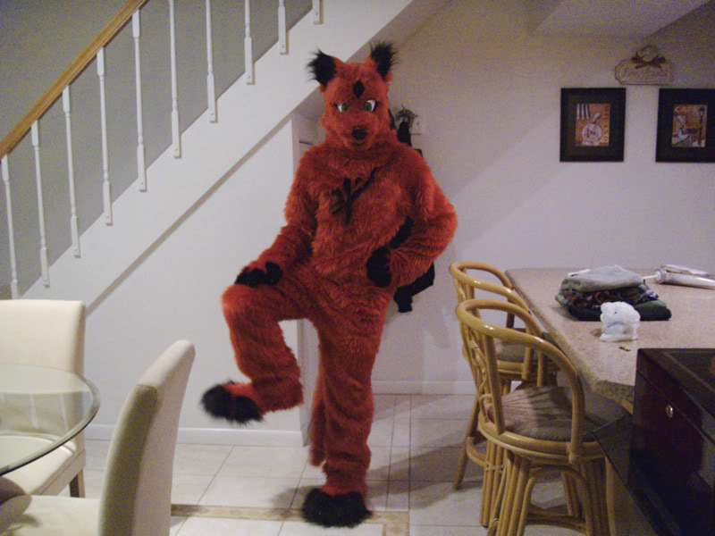 Wolfknight.jpg Wolfknight.jpg