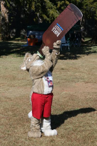 Towyn01.jpg Towyn01.jpg