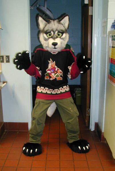 arech-2.jpg arech-2.jpg