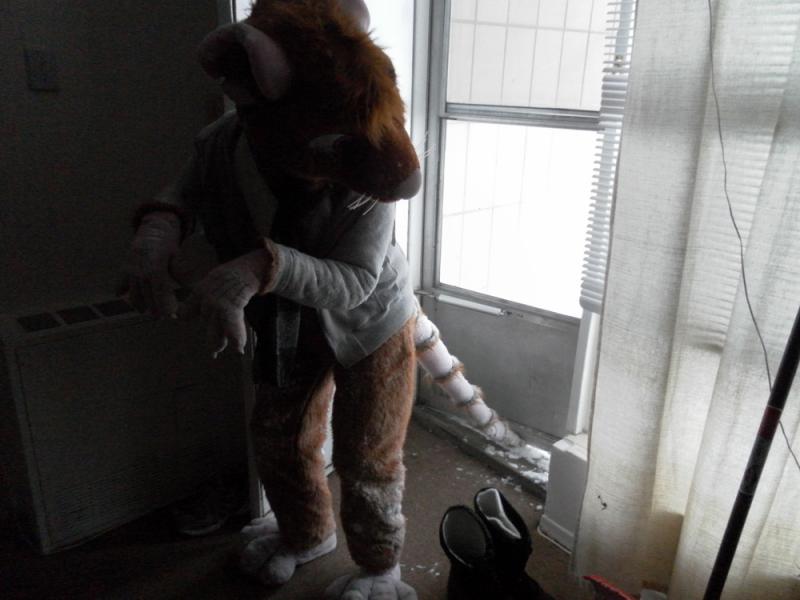 mAdius-Squeaky-Snow (1).jpg