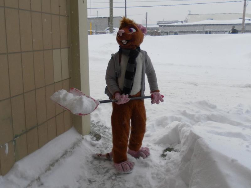 mAdius-Squeaky-Snow (2).jpg