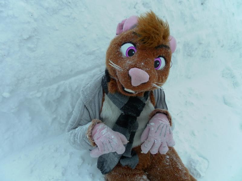 mAdius-Squeaky-Snow (4).jpg