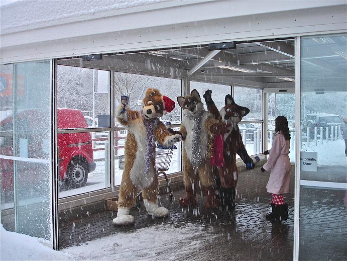 snedgy.jpg snedgy.jpg