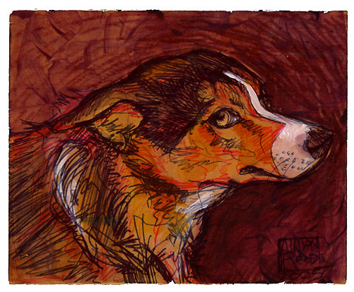 ladydog.jpg ladydog.jpg