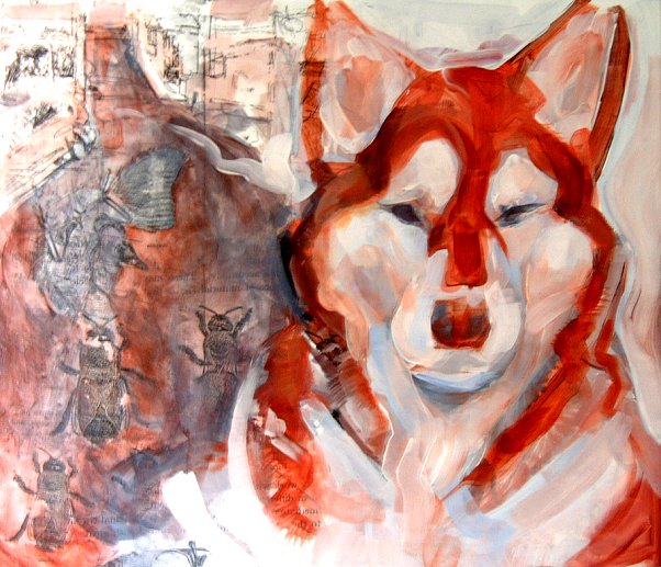 malamute.jpg malamute.jpg