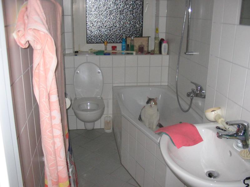 IMG_0109.jpg IMG_0109.jpg