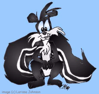 skunk1.jpg skunk1.jpg