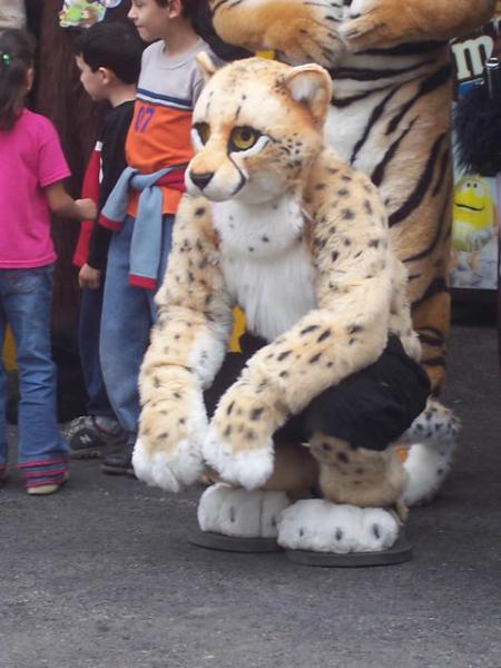 102_2879_jpg.jpg 102_2879_jpg.jpg