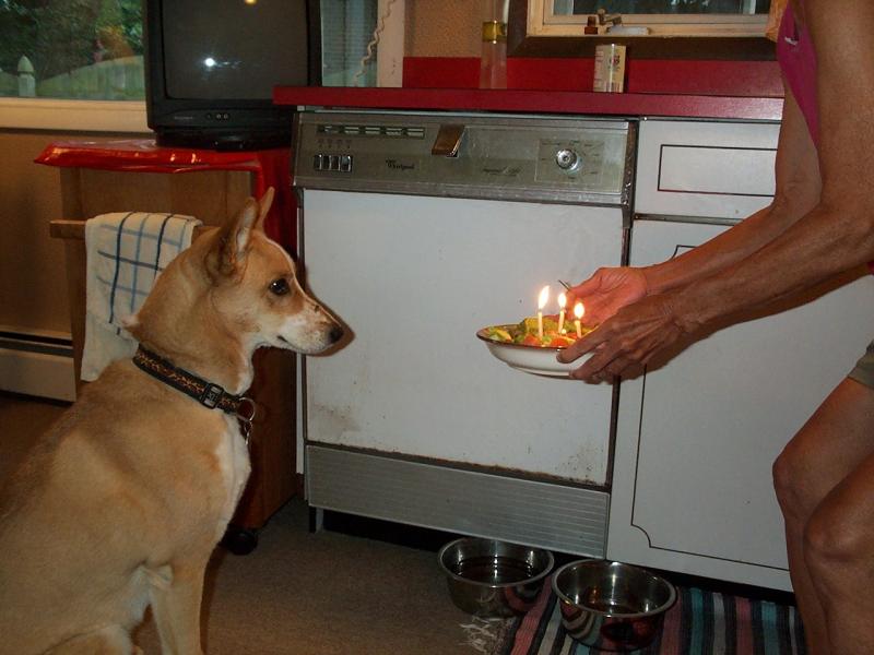 bonga_bday1_05.jpg bonga_bday1_05.jpg