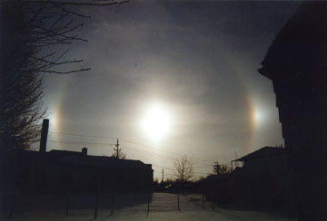wood-sundog.jpg