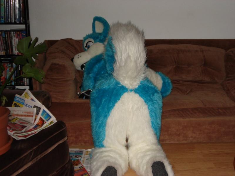 1218758616.rappyraptor_dsc00024.jpg 1218758616.rappyraptor_dsc00024.jpg