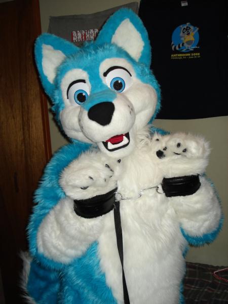 1223177451.rappyraptor_dsc09343.jpg 1223177451.rappyraptor_dsc09343.jpg