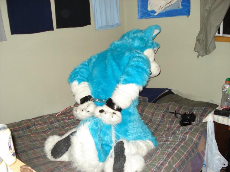 1223177931.rappyraptor_dsc09335.jpg 1223177931.rappyraptor_dsc09335.jpg