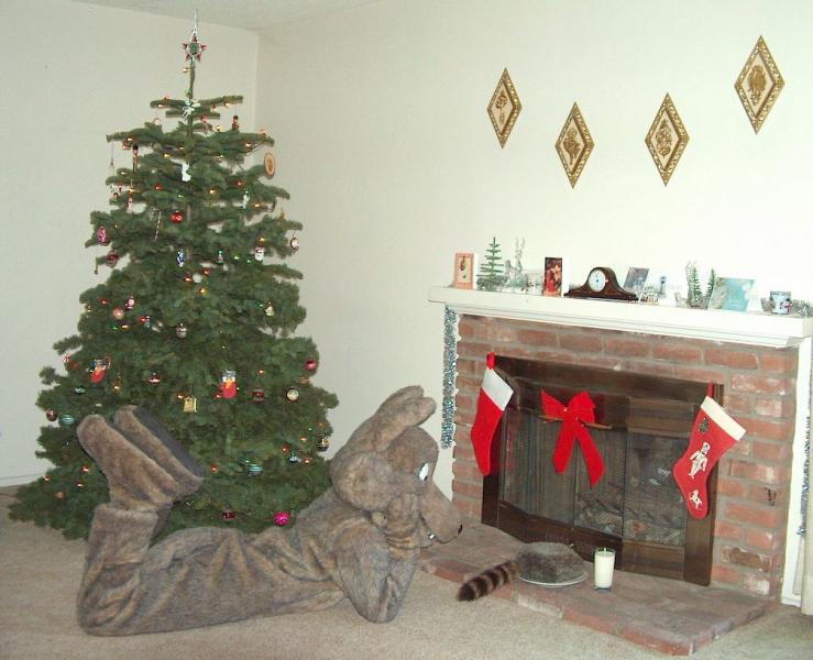 Christmas2007ScruffE.jpg Christmas2007ScruffE.jpg