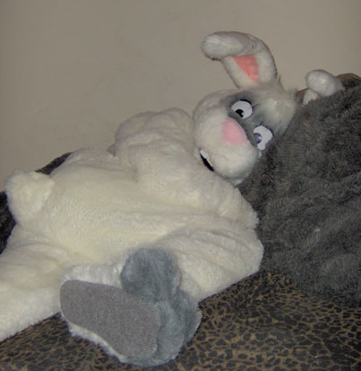 IM000262.jpg IM000262.jpg