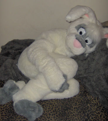 IM000266.jpg IM000266.jpg