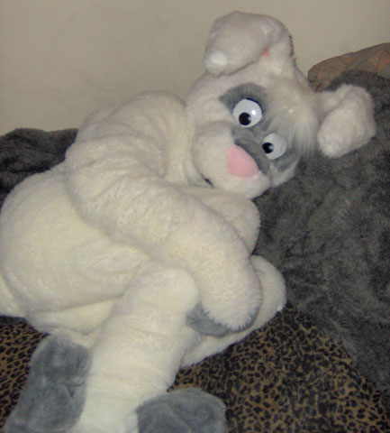 IM000268.jpg IM000268.jpg