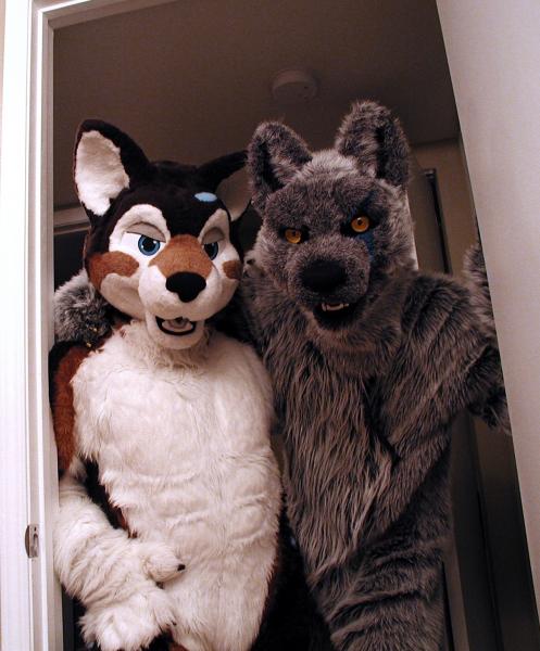 wolfswap3.jpg wolfswap3.jpg