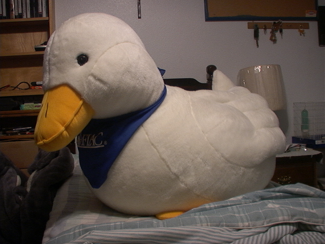 Dsc00002.jpg Dsc00002.jpg