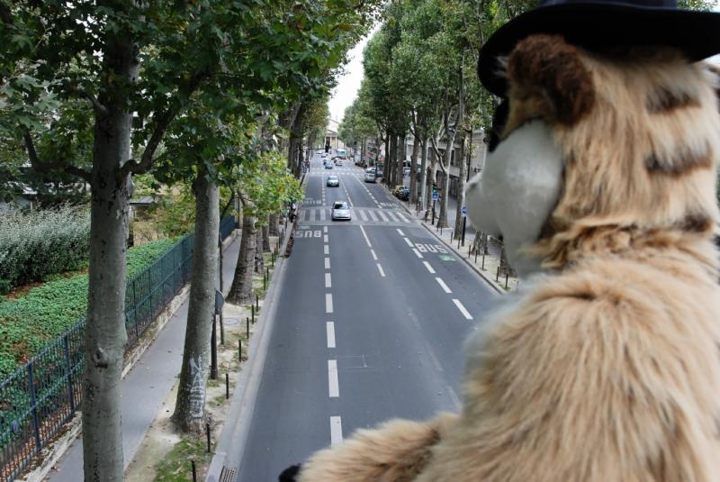 Panzar_Delcourt2008_2420_1024_e.jpg Panzar_Delcourt2008_2420_1024_e.jpg