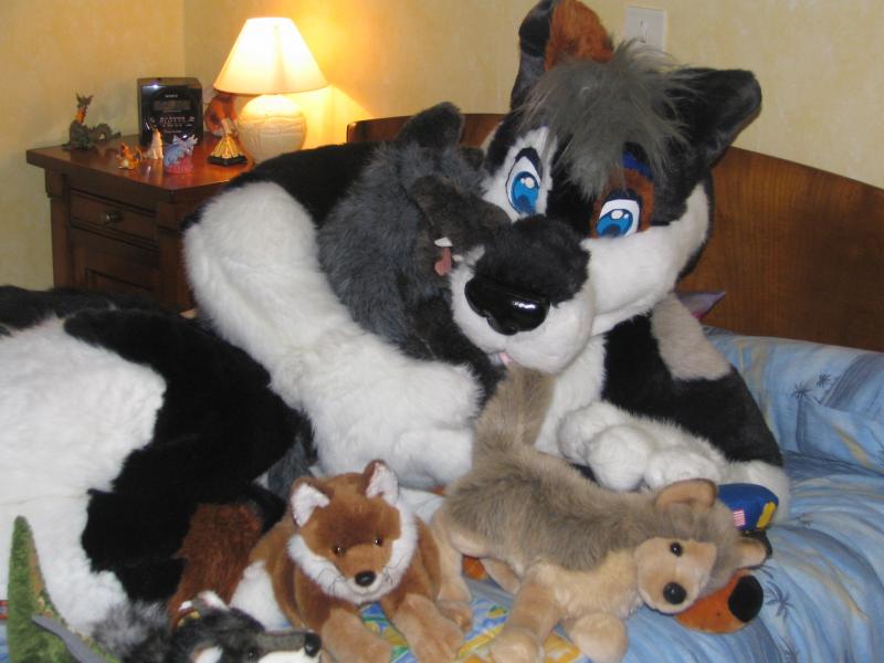 IMG_0411.jpg IMG_0411.jpg