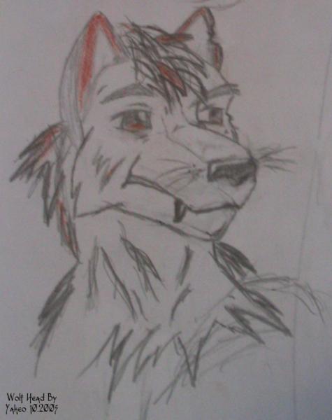 Wolf by yakeoWolf.jpg