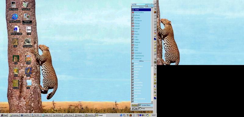 19990227-Leopardtree2.jpg 19990227-Leopardtree2.jpg