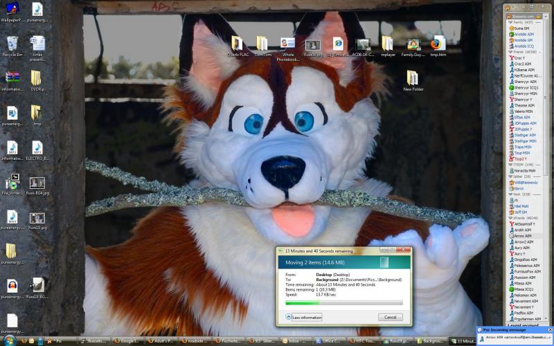 20081230-Puppy.jpg 20081230-Puppy.jpg