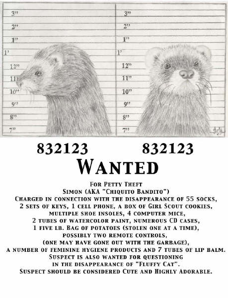 wnated hur_n malandr_n.jpg