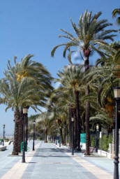 castellon photo 2.jpeg