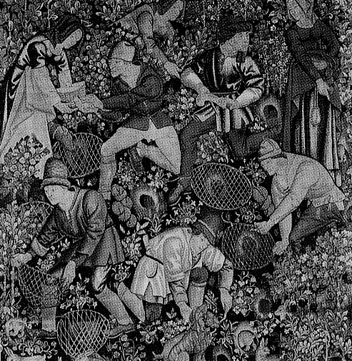 ferthist6foto hurones.gif